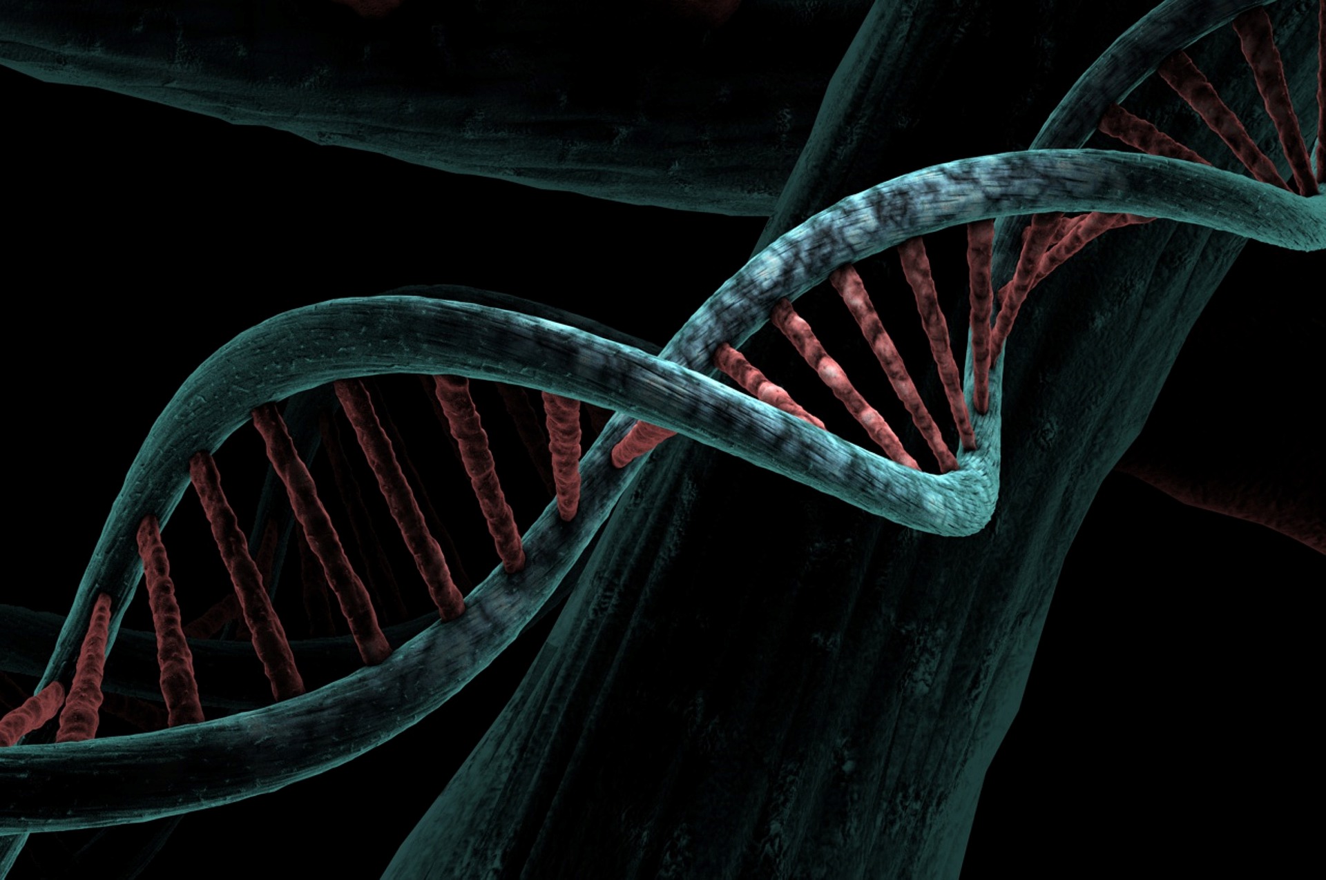 Genetics